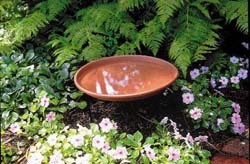 Plastic Bird Bath